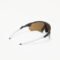 Oakley Radar® EV Path® Sunglasses Carbon