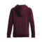 Under Armour Rival Fleece Big Logo Hdy Dark Maroon