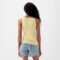 GAP Modal Tank Maize