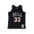 Mitchell & Ness Iridescent Swingman Scottie Pippen Jersey