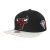 Mitchell & Ness NBA Chicago Bulls 75Th Platinum Snapback