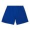 Mitchell & Ness NBA Philadelphia 76ers Team Heritage Woven Shorts