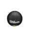 Wilson NBA Team Tribute Mini LA Lakers Size 3